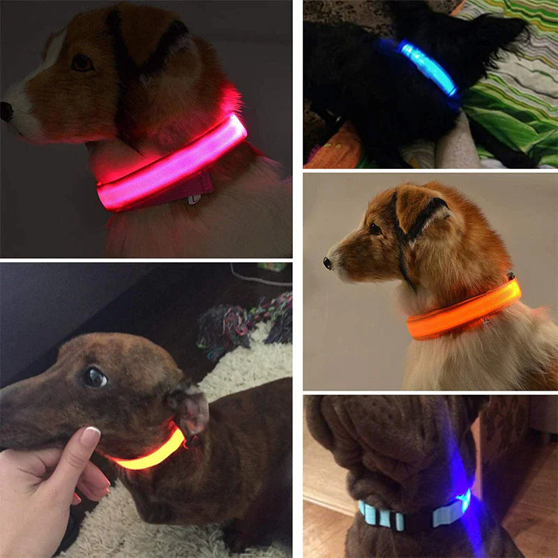 LED Adjustable Dog Collar - Pets Safety Accessory - Waterproof