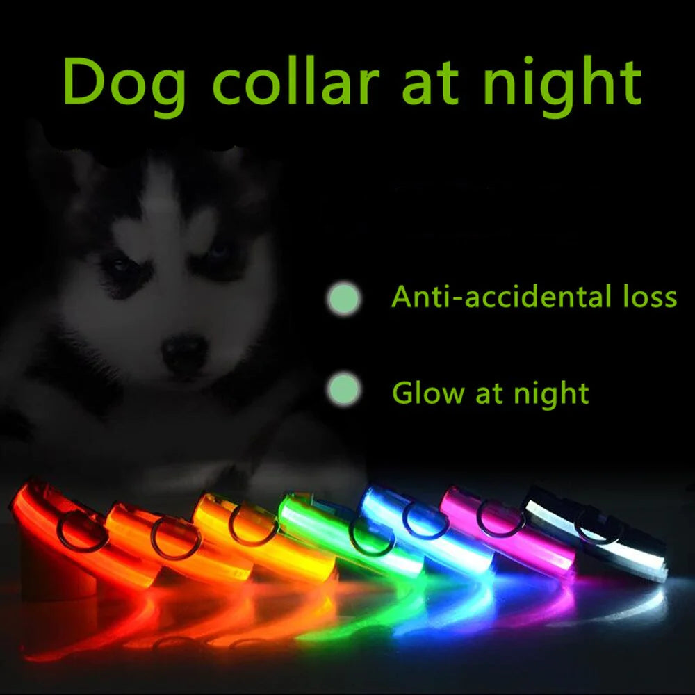 LED Adjustable Dog Collar - Pets Safety Accessory - Waterproof