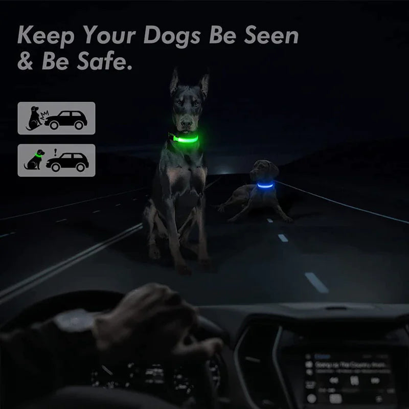 LED Adjustable Dog Collar - Pets Safety Accessory - Waterproof