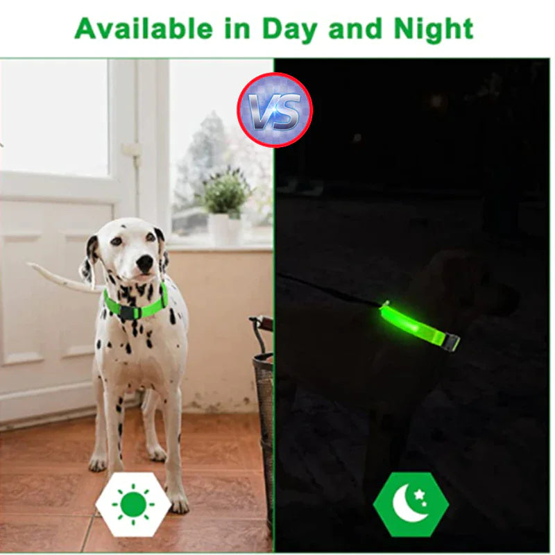 LED Adjustable Dog Collar - Pets Safety Accessory - Waterproof