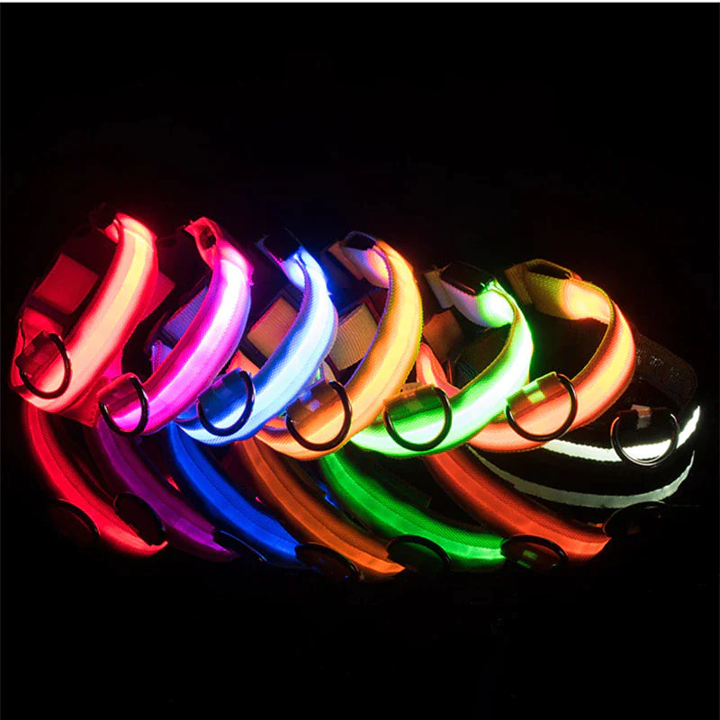 LED Adjustable Dog Collar - Pets Safety Accessory - Waterproof