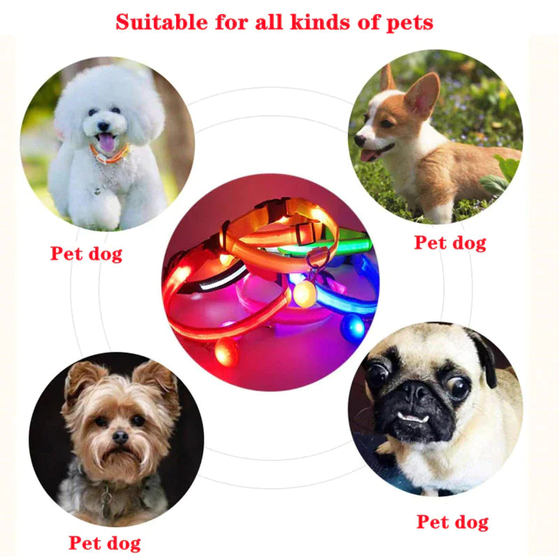 LED Adjustable Dog Collar - Pets Safety Accessory - Waterproof