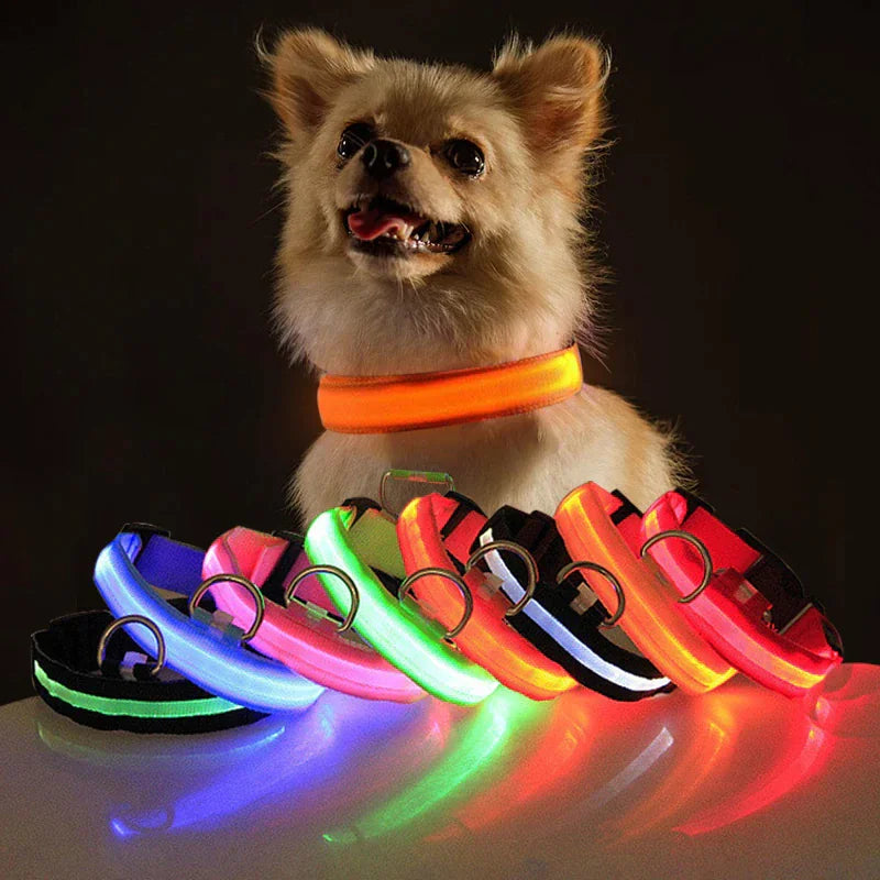 LED Adjustable Dog Collar - Pets Safety Accessory - Waterproof